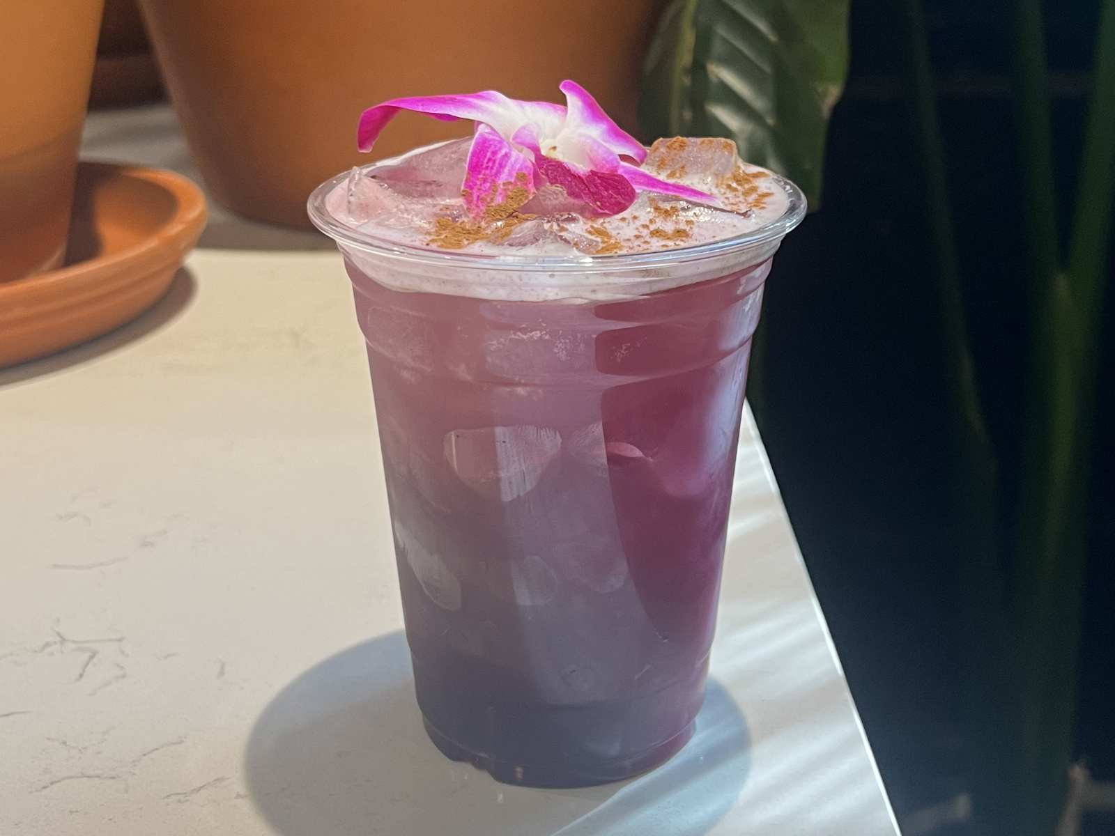 Purple Goddess Iced hibiscus tea