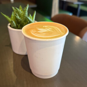 Flat White with latte art in a white takeaway cup beside a potted succulent at The Coffee Garden in Uptown Houston.
