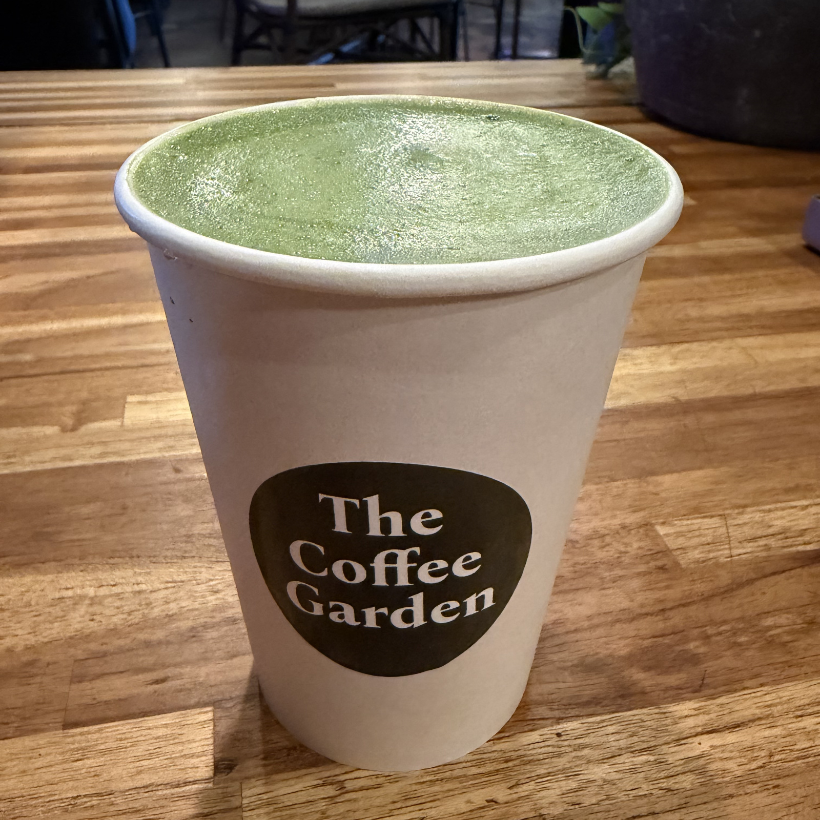 Hot Matcha Latte with smooth matcha microfoam at The Coffee Garden in Uptown Houston.