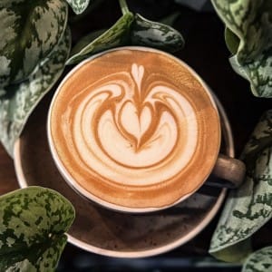 Flat White Coffee