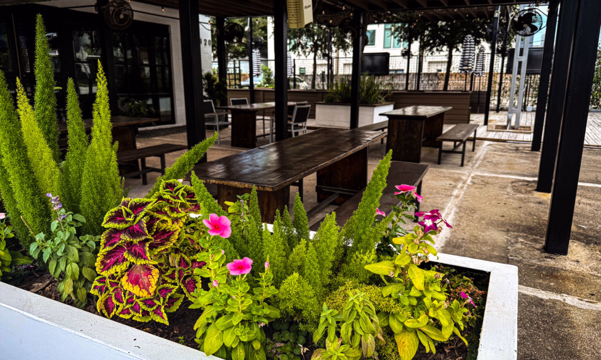 Coffee Shop in The Heights Houston – The Coffee Garden Patio The Coffee Garden coffee shop in The Heights Houston with patio seating in Sawyer Heights