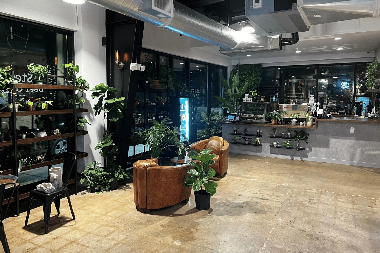 Dig The Vibes At This Cute Plant + Coffee Shop In Houston - Secret Houston